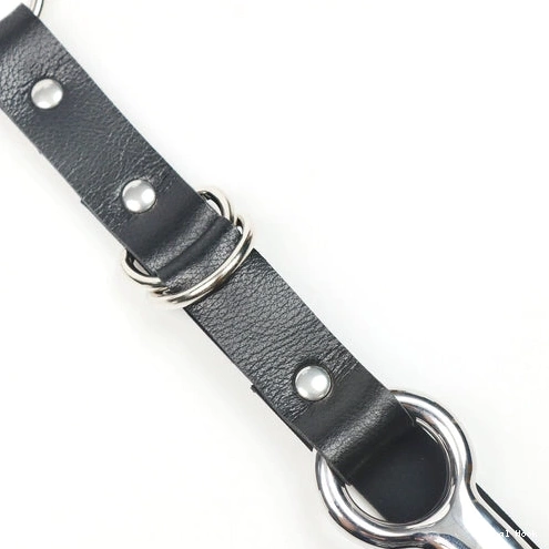 Collar EverydayUse Kinky Hook with and 5853 Anal Leash 0913